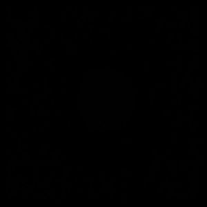 Chi hair straighter limited edition miss universe